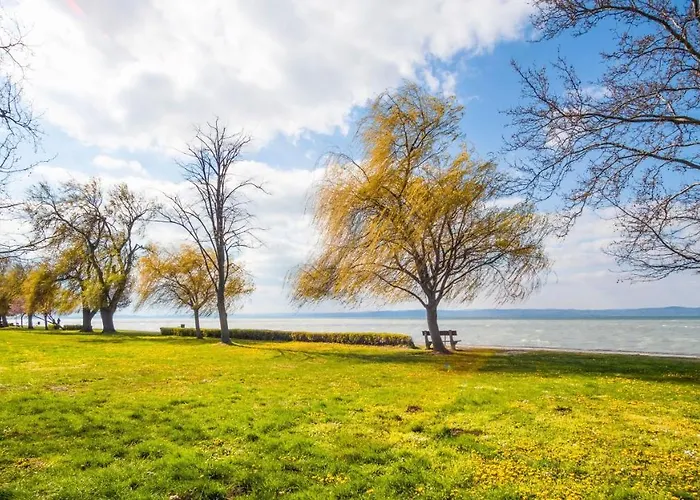 Myflat Belvedere שיופוק